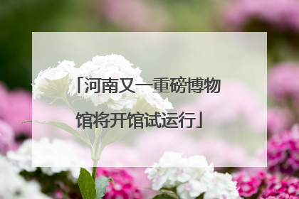 河南又一重磅博物馆将开馆试运行