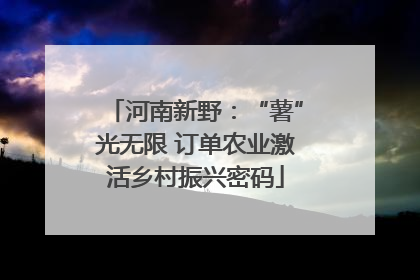 河南新野：“薯”光无限 订单农业激活乡村振兴密码