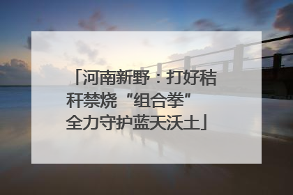 河南新野：打好秸秆禁烧“组合拳” 全力守护蓝天沃土