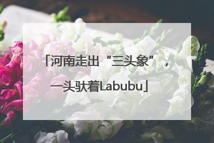 河南走出“三头象”，一头驮着Labubu