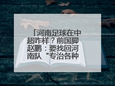 河南足球在中超咋样？前国脚赵鹏：要找回河南队“专治各种不服”的精神