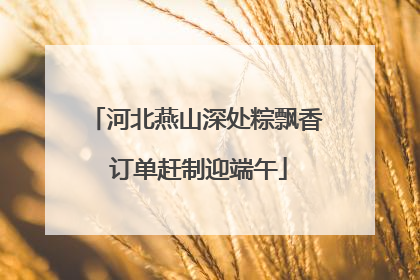 河北燕山深处粽飘香 订单赶制迎端午