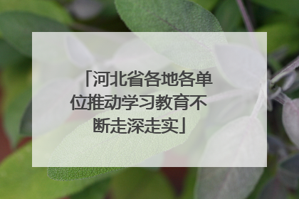 河北省各地各单位推动学习教育不断走深走实