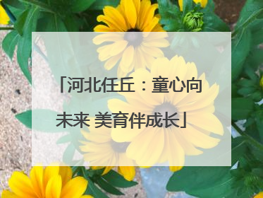 河北任丘：童心向未来 美育伴成长