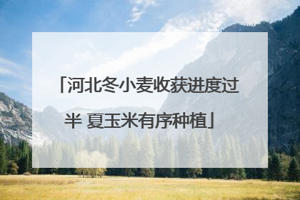 河北冬小麦收获进度过半 夏玉米有序种植