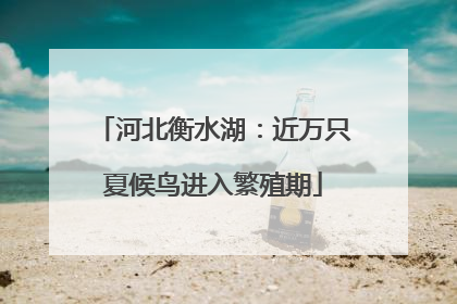河北衡水湖：近万只夏候鸟进入繁殖期