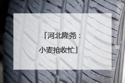 河北隆尧：小麦抢收忙