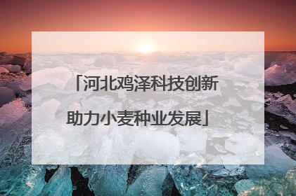河北鸡泽科技创新助力小麦种业发展