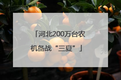 河北200万台农机备战“三夏”