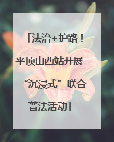 法治+护路！平顶山西站开展“沉浸式”联合普法活动