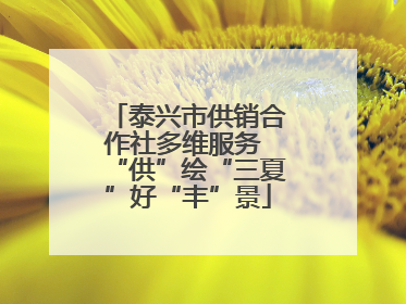 泰兴市供销合作社多维服务 “供”绘“三夏”好“丰”景