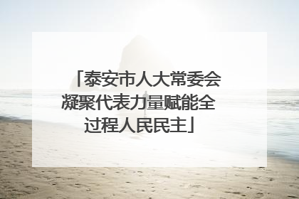 泰安市人大常委会凝聚代表力量赋能全过程人民民主