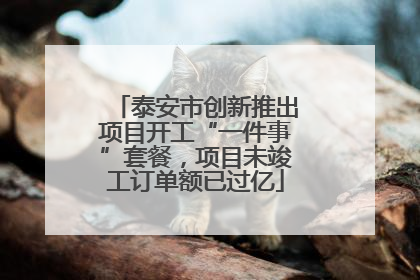 泰安市创新推出项目开工“一件事”套餐，项目未竣工订单额已过亿