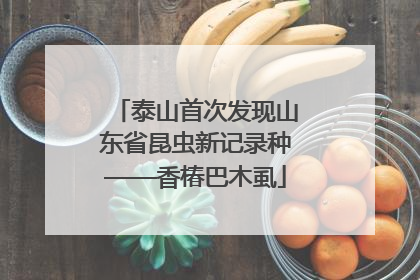 泰山首次发现山东省昆虫新记录种——香椿巴木虱