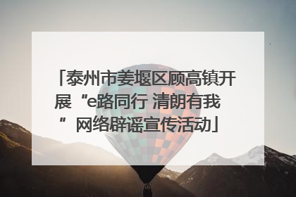 泰州市姜堰区顾高镇开展“e路同行 清朗有我”网络辟谣宣传活动