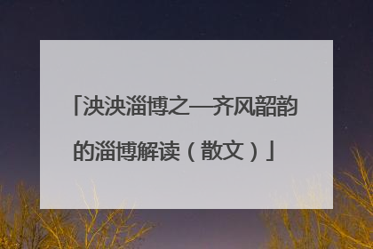 泱泱淄博之—齐风韶韵的淄博解读（散文）