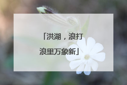 洪湖，浪打浪里万象新