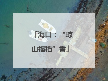 海口：“琼山福稻”香