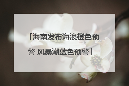 海南发布海浪橙色预警 风暴潮蓝色预警