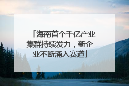 海南首个千亿产业集群持续发力，新企业不断涌入赛道