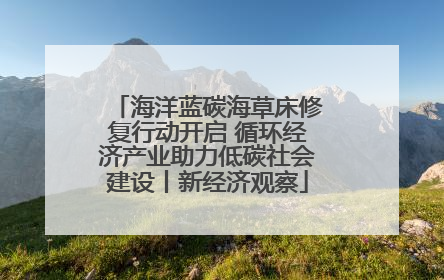 海洋蓝碳海草床修复行动开启 循环经济产业助力低碳社会建设丨新经济观察