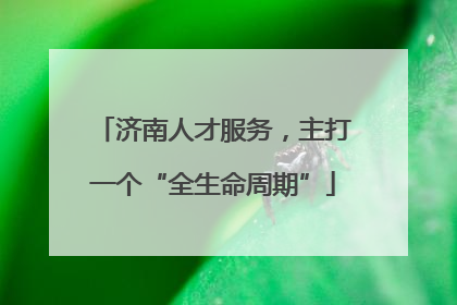 济南人才服务，主打一个“全生命周期”