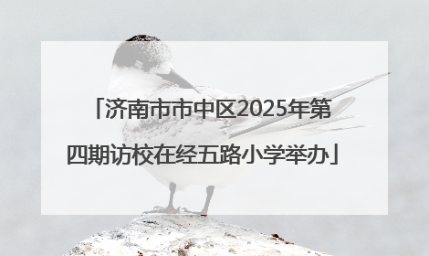 济南市市中区2025年第四期访校在经五路小学举办