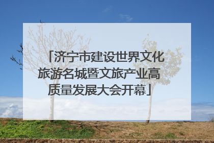 济宁市建设世界文化旅游名城暨文旅产业高质量发展大会开幕