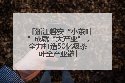 浙江磐安“小茶叶”成就“大产业”，全力打造50亿级茶叶全产业链
