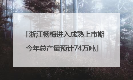 浙江杨梅进入成熟上市期 今年总产量预计74万吨
