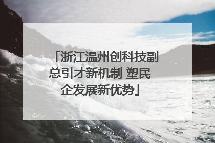 浙江温州创科技副总引才新机制 塑民企发展新优势