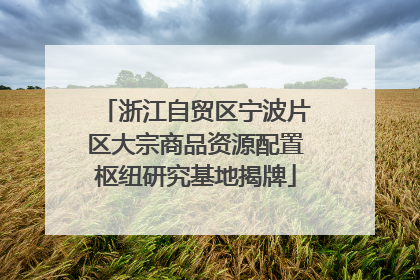 浙江自贸区宁波片区大宗商品资源配置枢纽研究基地揭牌