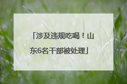 涉及违规吃喝！山东6名干部被处理
