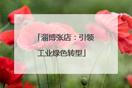 淄博张店：引领工业绿色转型