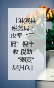 淮滨县税务局：攻坚“三夏”保丰收 税助“弱麦”尽归仓