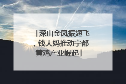深山金凤振翅飞，钱大妈推动宁都黄鸡产业崛起