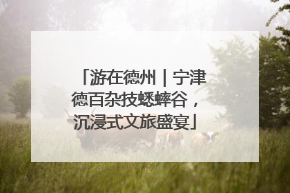游在德州｜宁津德百杂技蟋蟀谷，沉浸式文旅盛宴