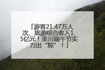 游客21.47万人次、旅游综合收入1.5亿元！栾川端午节实力出“粽”！