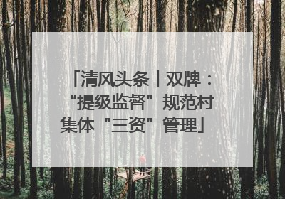 清风头条丨双牌：“提级监督”规范村集体“三资”管理