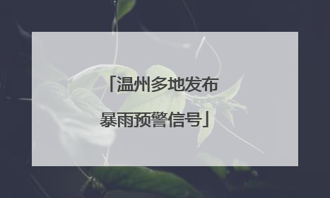 温州多地发布暴雨预警信号