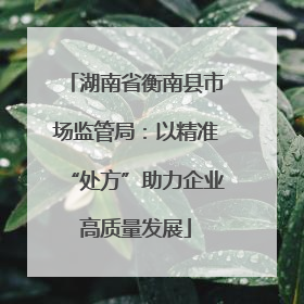 湖南省衡南县市场监管局：以精准“处方”助力企业高质量发展