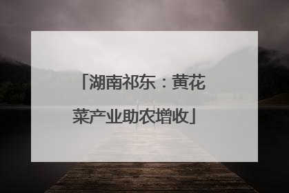 湖南祁东：黄花菜产业助农增收