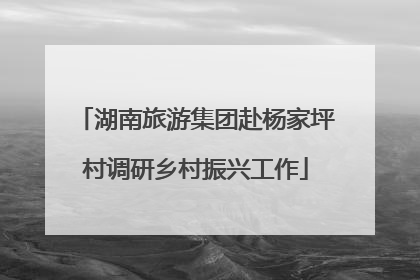 湖南旅游集团赴杨家坪村调研乡村振兴工作