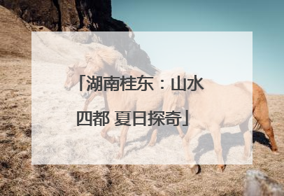 湖南桂东：山水四都 夏日探奇