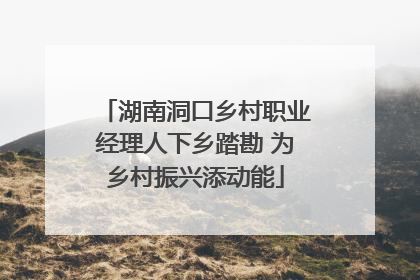 湖南洞口乡村职业经理人下乡踏勘 为乡村振兴添动能