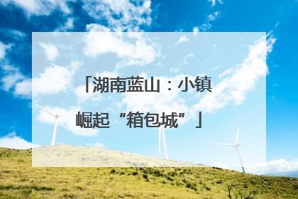 湖南蓝山：小镇崛起“箱包城”