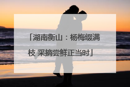 湖南衡山：杨梅缀满枝 采摘尝鲜正当时