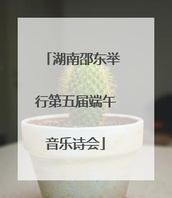 湖南邵东举行第五届端午音乐诗会
