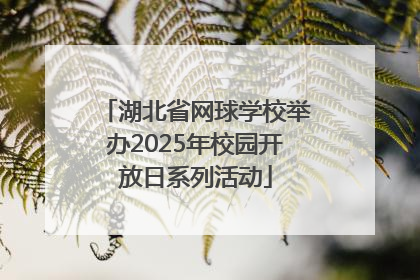 湖北省网球学校举办2025年校园开放日系列活动