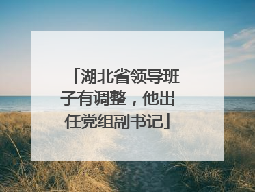 湖北省领导班子有调整，他出任党组副书记